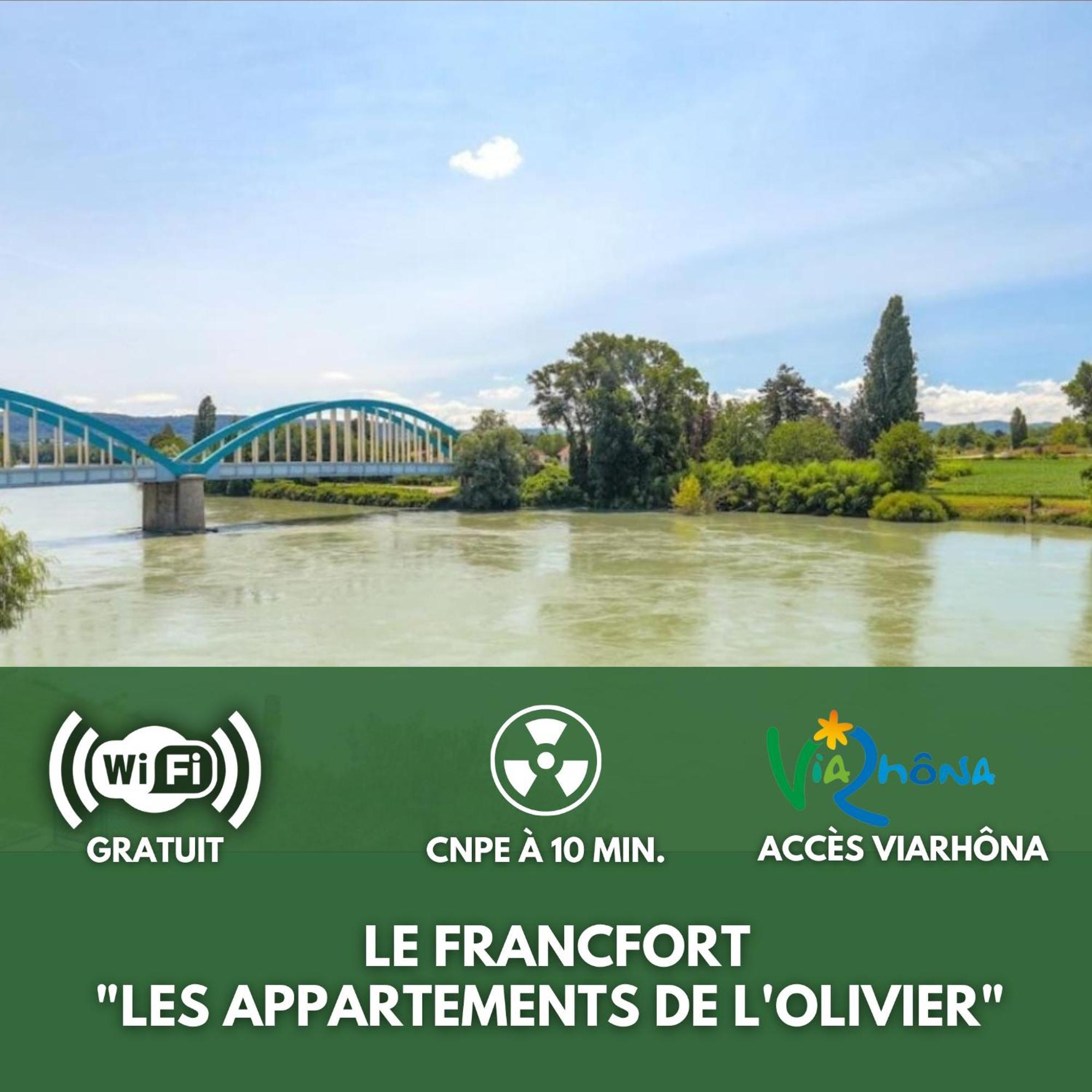 Le Francfort - Les Appartements De L'Olivier Loyettes Екстер'єр фото